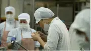 給食の食べ残し9割減！栄養士・松丸奨の情熱に迫る『情熱大陸』