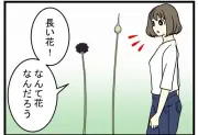 ゆっくりとした生活がもたらす心身の健康効果と実践方法