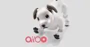 ソニー「aibo」新製品を開発中、現行モデル販売終了も継続を表明