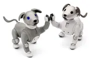 ソニー、犬型ロボット「aibo」現行モデルの国内販売を終了