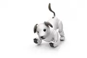 ソニー、aibo（ERS-1000）の国内販売終了を発表「在庫がなくなり次第」