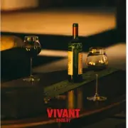 TBSドラマ『VIVANT』第2シーズン、7月より2クール連続放送決定！ティザービジュアル公開で考察班が始動