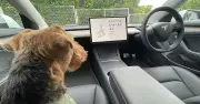 テスラの魅力は自動運転だけじゃない！アップデートで「プチストレス」を解消するユーザー体験に真価あり：乗るガジェット「Tesla」に乗ってます（1/3 ページ）