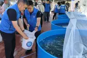 東京都内で新たに10人感染確認、新型コロナ 累計感染者数増加