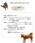 東洋経済の記事を徹底解説：最新の経済動向とその影響
