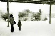 東洋経済の最新写真特集：注目のビジュアルストーリー14選