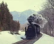東洋経済オンライン特集：注目の写真7選