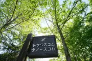 東洋経済の写真記事が947966号で13ページ目に到達