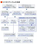 東洋経済「写真で見る」記事リライト版：最新号の注目ポイントを解説