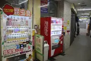 東洋経済の写真特集：949147ページ25枚目を詳報