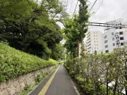 東洋経済の記事を独自に書き換え：写真特集949367の詳細分析