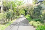 東洋経済が報じる最新ビジネスニュースの写真特集