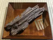 東洋経済の写真特集：東京の新名所が続々登場