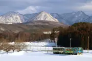 【独占】トヨタの水素エンジン車、2025年に市販化へ　次世代型を開発中