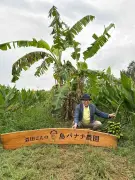 気象予報士・森田正光が語る「時代に応じた天気予報」と島バナナ保護への挑戦