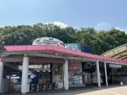 2025年、EV販売がガソリン車を上回る？その真実と課題