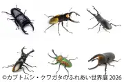 世界のレアカブト・クワガタと触れ合える「カブトムシ・クワガタのふれあい世界展 2026」開催