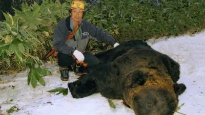 200頭超のクマを仕留めた名人が「殺られる」と覚悟した瞬間 子グマを撃たれ殺気立つ母グマが2メートル先に
