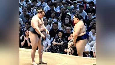安青錦が大関復帰決定、１０勝目で単独首位