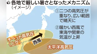 「ダブル高気圧」で酷暑、関東以西は1週間厳しい暑さ続く