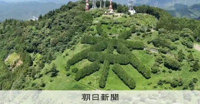 静岡・掛川の山肌に巨大「茶」文字 ヒノキ千本でPR