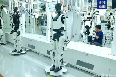 ヒトの指紋、胎内で形成される仕組みを解明 英研究
