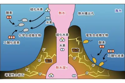 深海熱水噴出孔の微生物、電気でCO2から有機物合成を実証