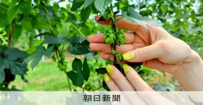 キリンHD、R&D強化で3本柱事業を拡大 南方社長インタビュー