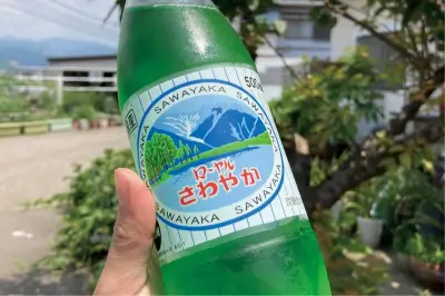 ローカルコンビニ限定！ご当地ドリンク7選 goozコーヒーからリープルまで
