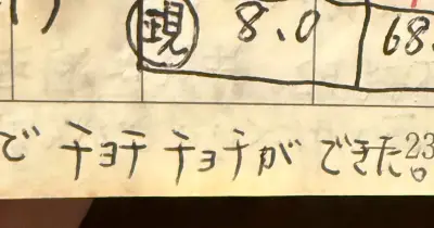 亡き母が残した謎の言葉「チョチチョチ」にSNS感動　母子手帳の愛おしい記録