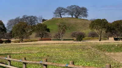 桜井茶臼山古墳に200kg超の水銀朱、ヤマト政権の交易実態を示す