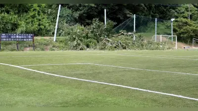 静岡・御殿場のサッカーグラウンドで倒木、7人搬送 幼児2人も