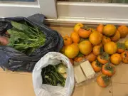 2歳児の散歩で野菜や果物の山「報酬」が話題 3.1万いいね
