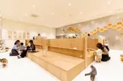 最大震度7を記録した熊本地震、イオンモール熊本から救出された猫カフェMOFFの猫25頭、広島店舗に無事到着