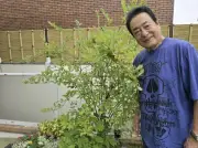 高橋英樹、自宅の庭の手入れ完了「むちゃ広い芝生」と反響 草花豊かな空間を公開