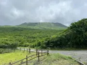 AIが変える未来の仕事：専門家が語る5つのシナリオ
