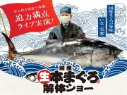 AIによるサッカー戦術解析、Jリーグ導入で試合展開が激変
