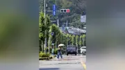 埼玉県内全8観測地点で猛暑日、北部で40度超の酷暑日も