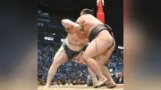 安青錦　見せた底力