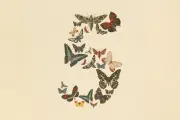 Anthropic、Claude Fable 5とMythos 5の米輸出規制が解除、提供再開も利用枠は厳格化