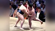 安青錦、大関復帰へ 2026年7月場所から