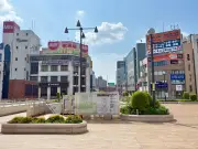 記事の内容が不明