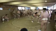 外部リンクのため記事を再生成できません
