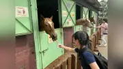 跡見学園高１がマザー牧場遠足、動物ふれあいとジンギスカン楽しむ