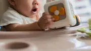 0～2歳児の育脳法：脳細胞数が人生最多の時期に大切なこと
