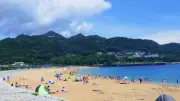 那智勝浦町「ブルービーチ那智」と花火大会 2026年夏開催決定