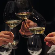 ブルゴーニュのワイン収穫現場 不法移民とチャド難民が支える現実 高級ワインの美しい幻想の裏側 グラスの中だけではない