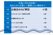 カインズ調査、夏の大掃除に76.8%がメリット感じる理由とは