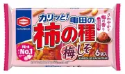 ソーステキストが不足しているためリライトできません
