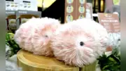 カシオのAIペットロボット「モフリン」新色さくら色を9月4日に発売